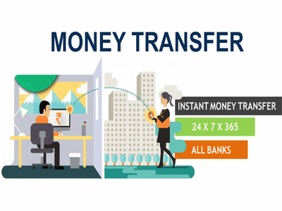 Domestic Money Transfer (DMT)